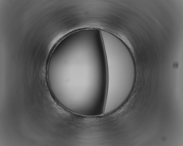 X0000090980944200708021138