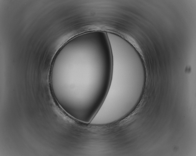 X0000090980946200708021138