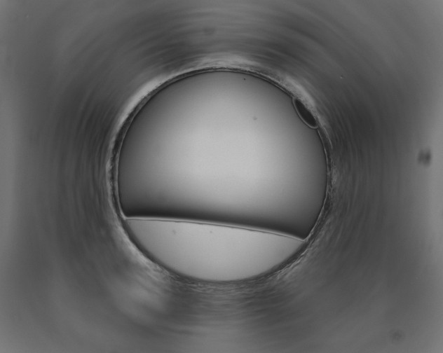 X0000090980947200708021138