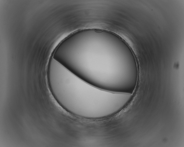 X0000090980949200708021138