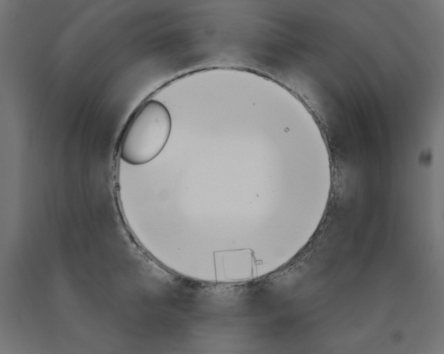 X0000090980950200708021138