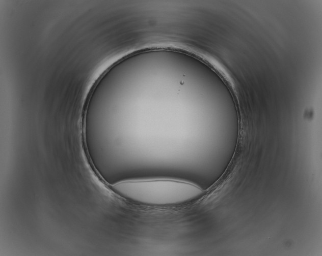 X0000090980951200708021138