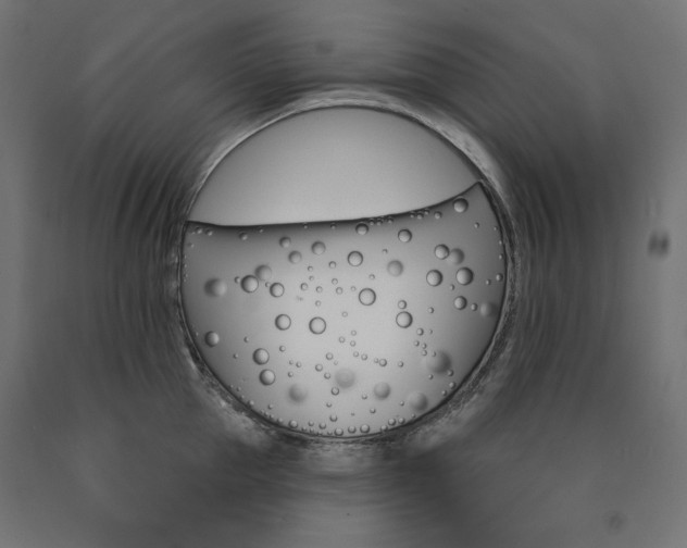 X0000090980953200708021138