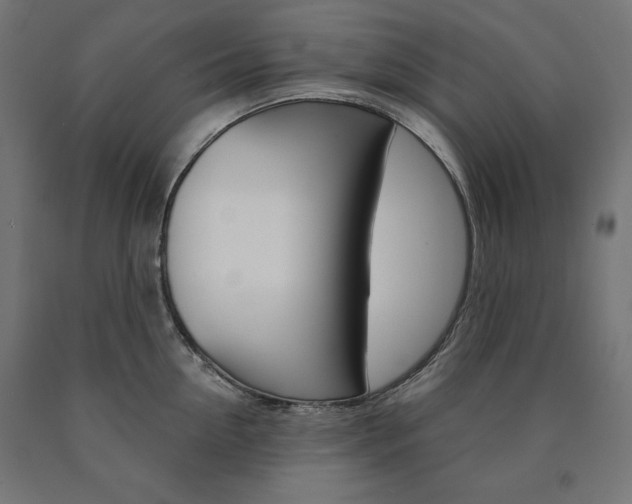 X0000090980954200708021139