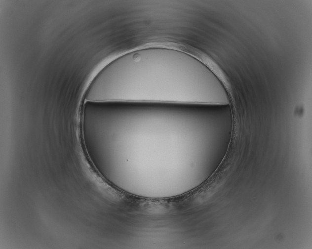 X0000090980955200708021139