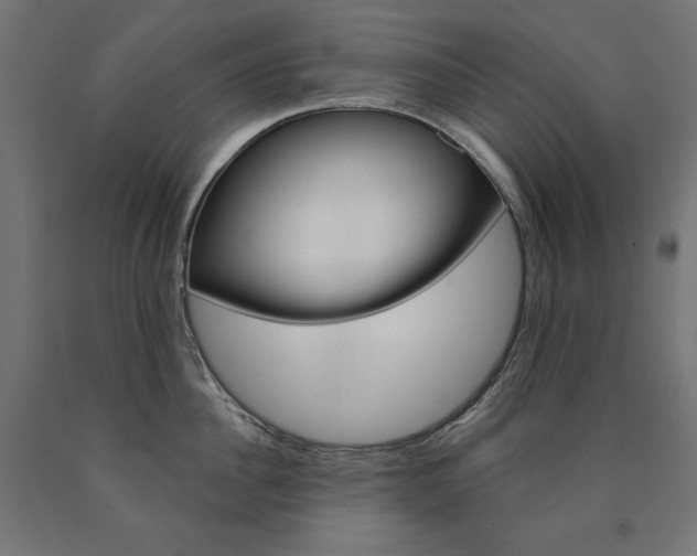 X0000090980956200708021139