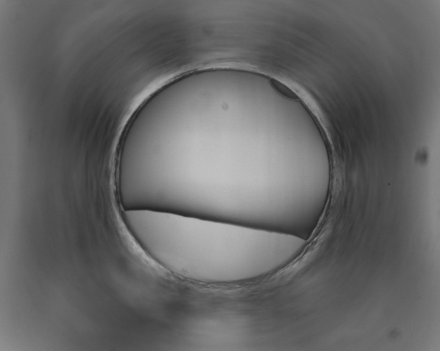 X0000090980957200708021139