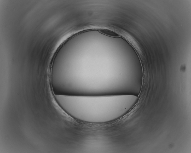X0000090980958200708021139