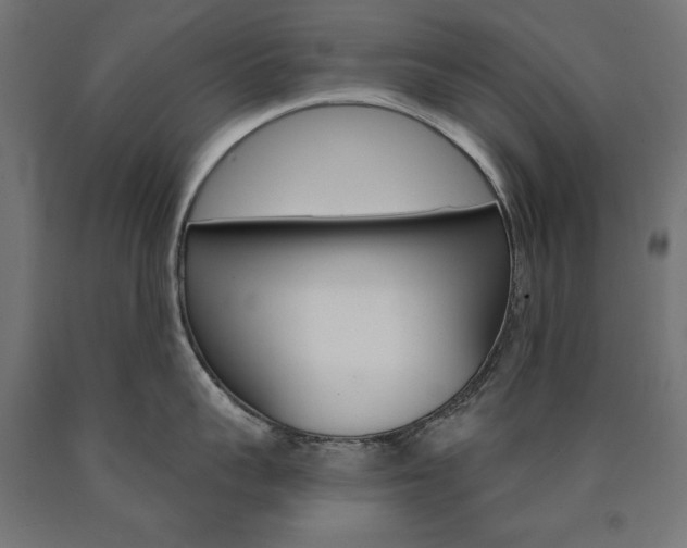 X0000090980959200708021139
