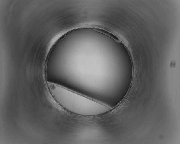 X0000090980960200708021139