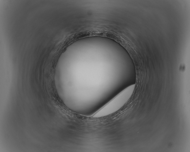 X0000090980961200708021138