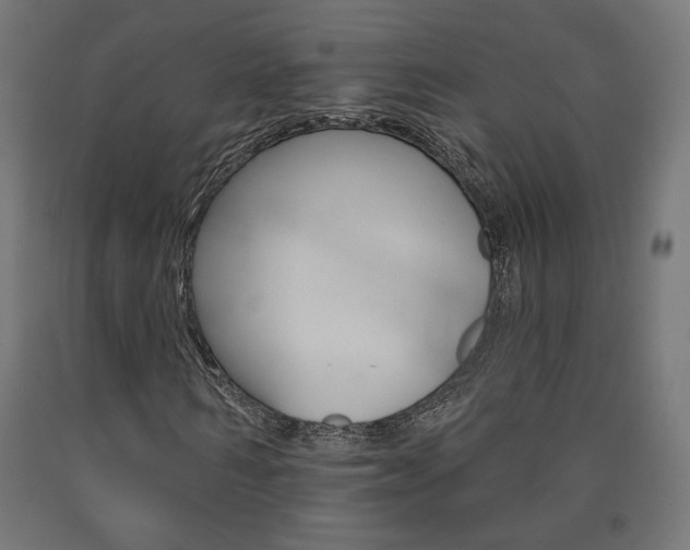 X0000090980962200708021138