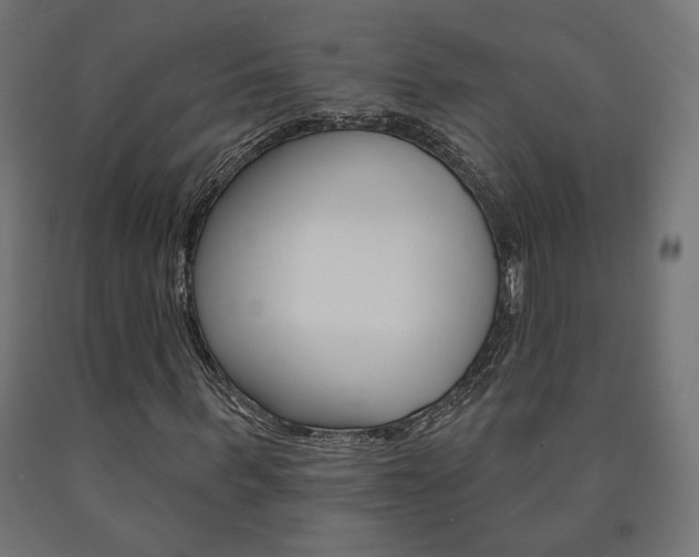 X0000090980963200708021138
