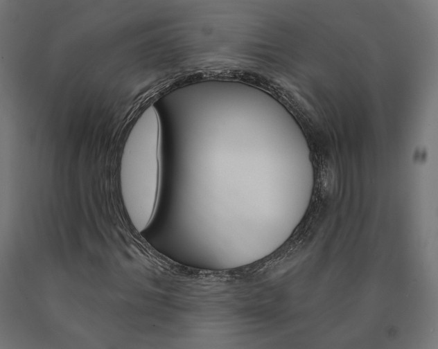 X0000090980964200708021138