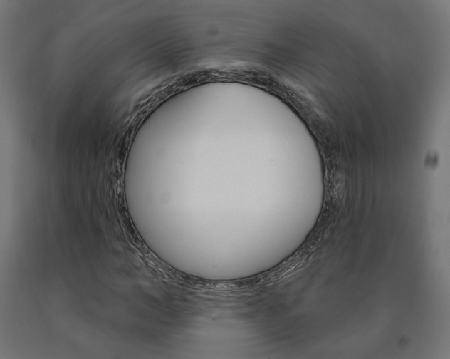 X0000090980966200708021138