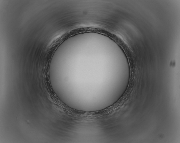 X0000090980967200708021138