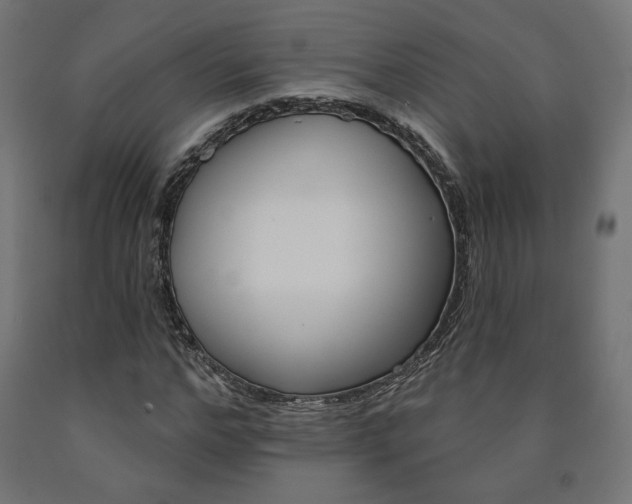 X0000090980968200708021138