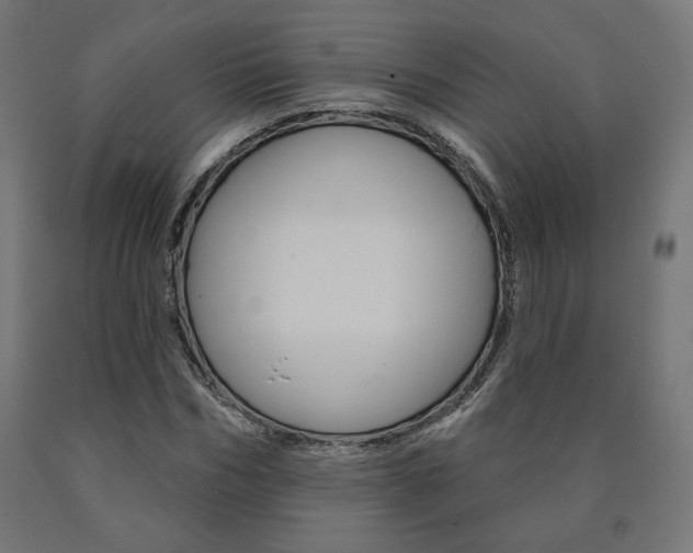 X0000090980970200708021138