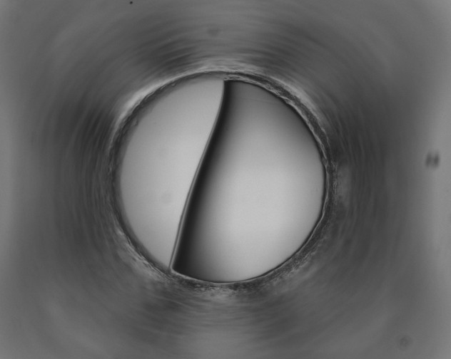 X0000090980971200708021138