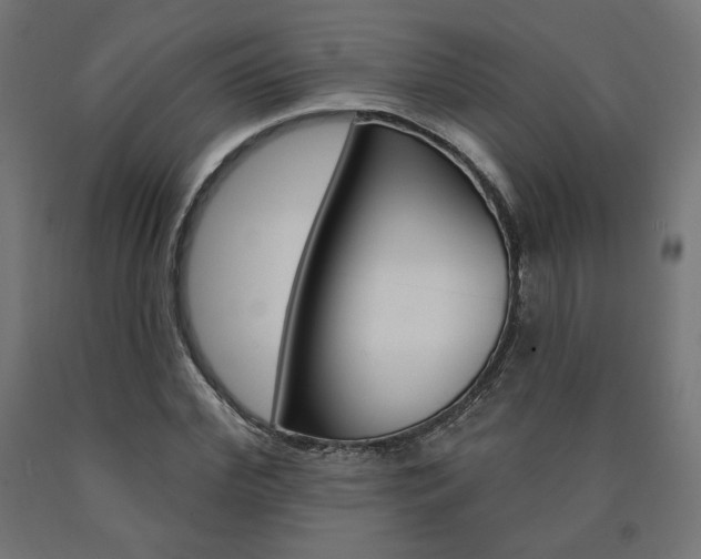 X0000090980972200708021138