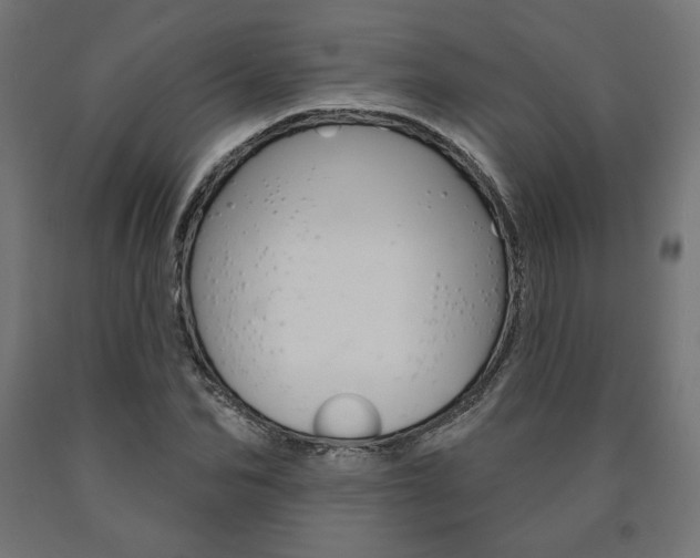 X0000090980974200708021138