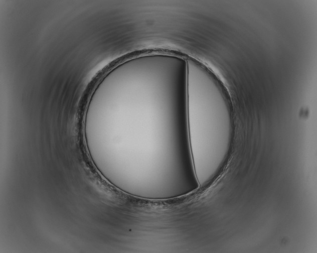 X0000090980975200708021138