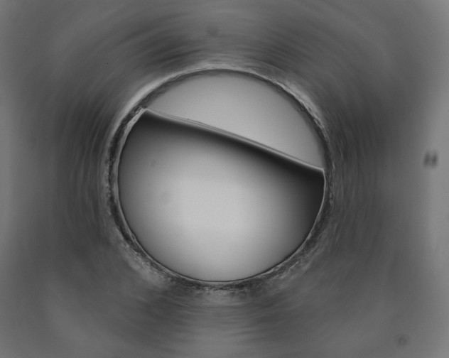 X0000090980976200708021138