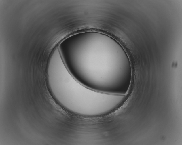 X0000090980977200708021138