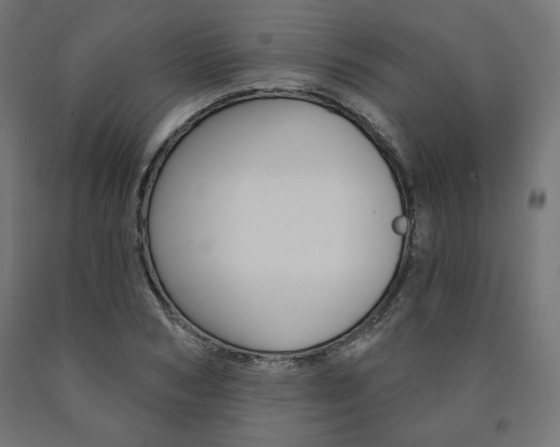 X0000090980978200708021138