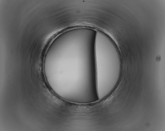 X0000090980979200708021138