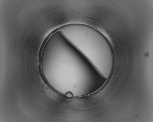 X0000090980980200708021138