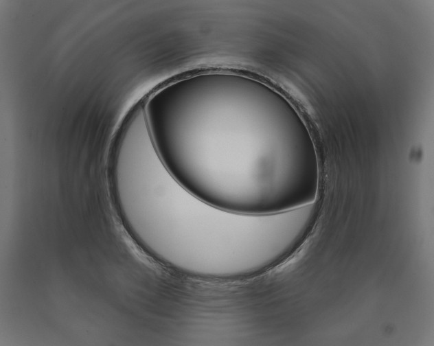 X0000090980981200708021138