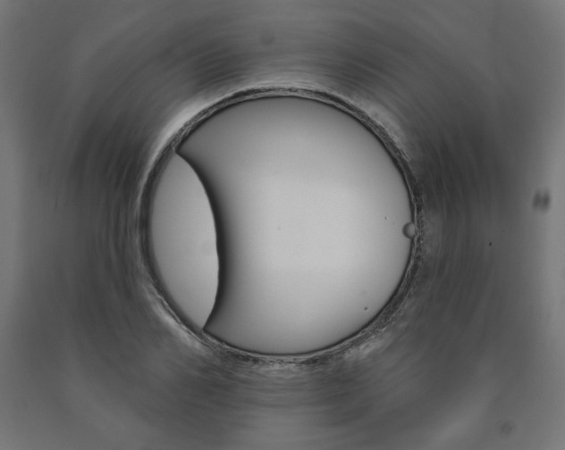 X0000090980982200708021138