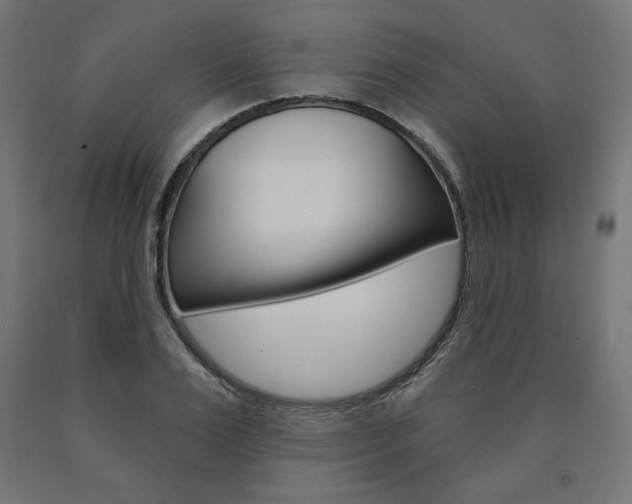 X0000090980983200708021138