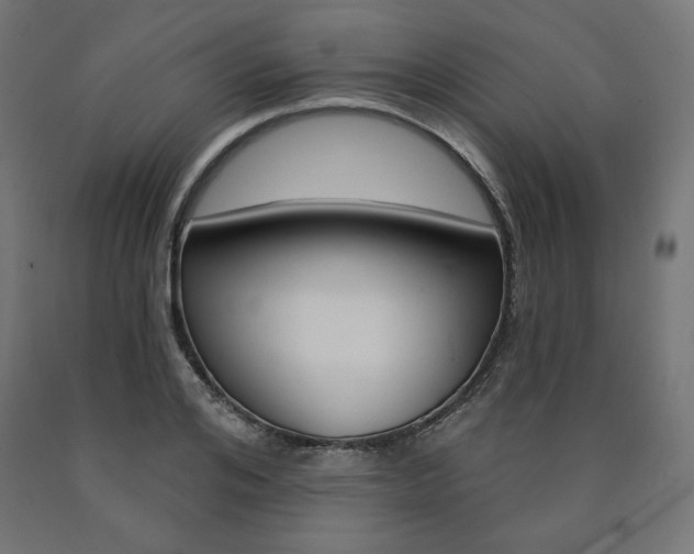 X0000090980984200708021138