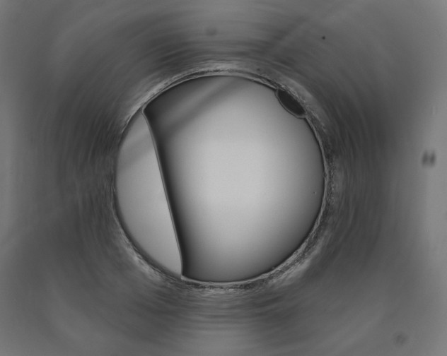 X0000090980985200708021137