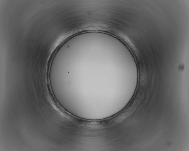 X0000090980986200708021137