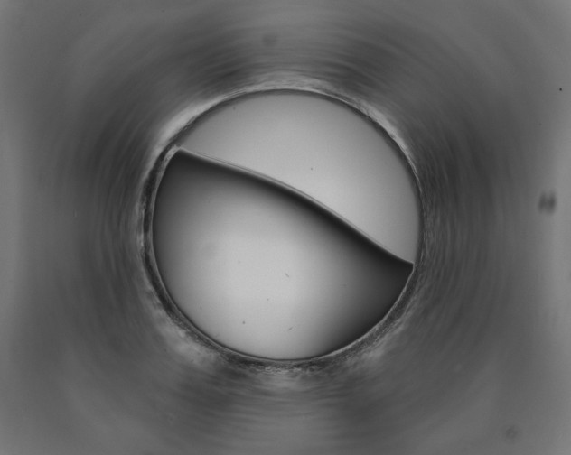 X0000090980987200708021137
