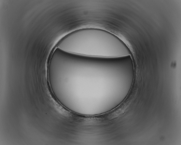 X0000090980988200708021137