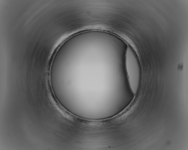 X0000090980989200708021137