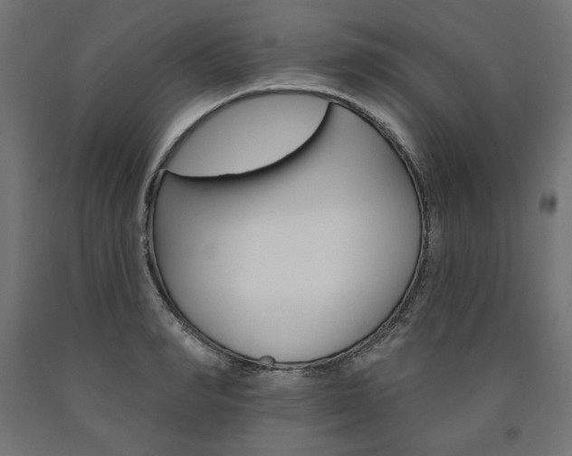 X0000090980990200708021137
