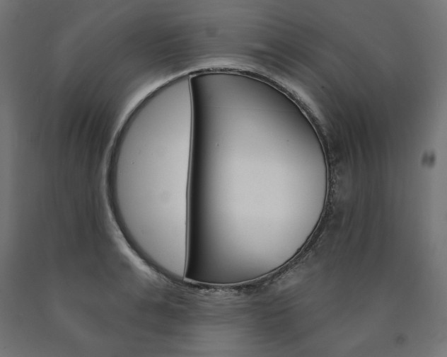 X0000090980991200708021137