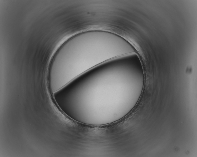 X0000090980992200708021137