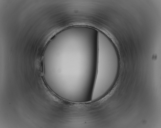 X0000090980993200708021137