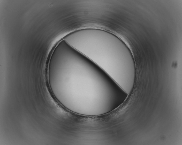 X0000090980995200708021137