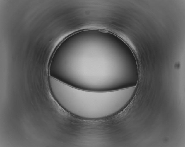X0000090980996200708021137