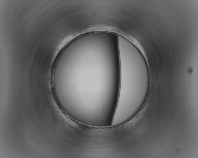 X0000090980997200708021137