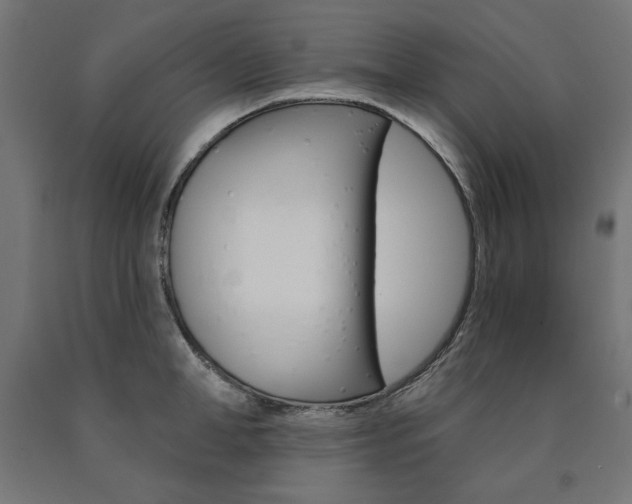 X0000090980998200708021137