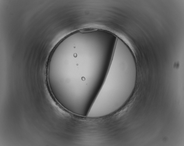 X0000090980999200708021137