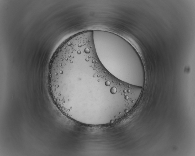 X0000090981000200708021137
